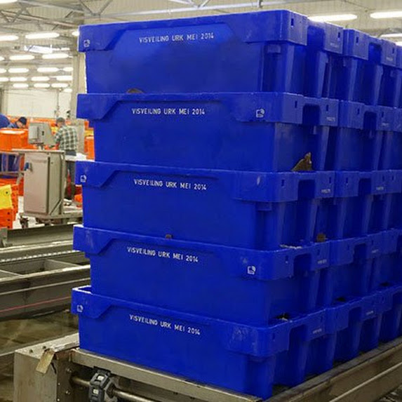 How to Determine Plastic Pallets Capacities