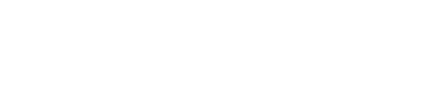 Associated Pallets Logo