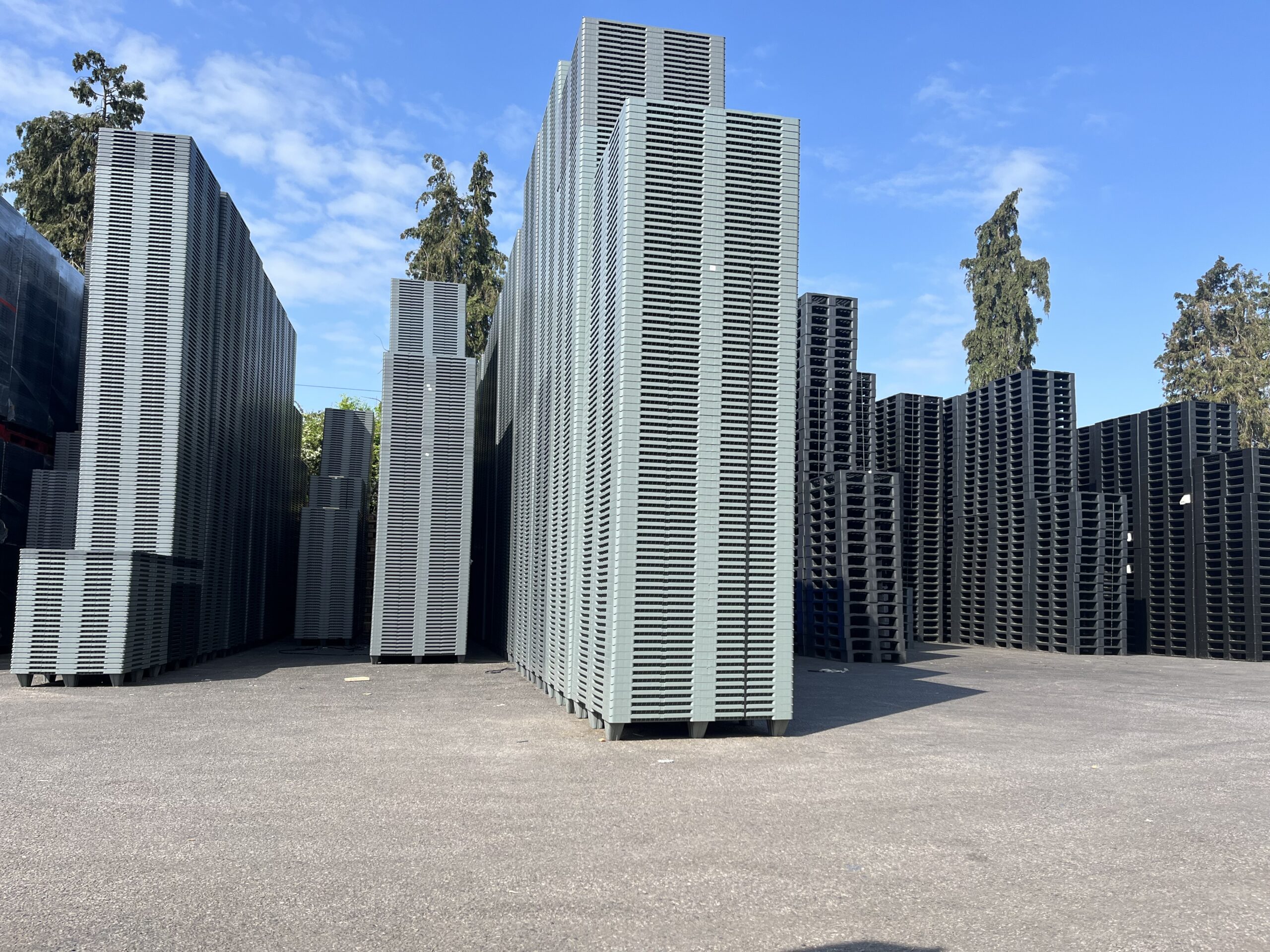 Plastic Pallets UK Buying Guide: 14 Expert Questions to Ask Before You Purchase