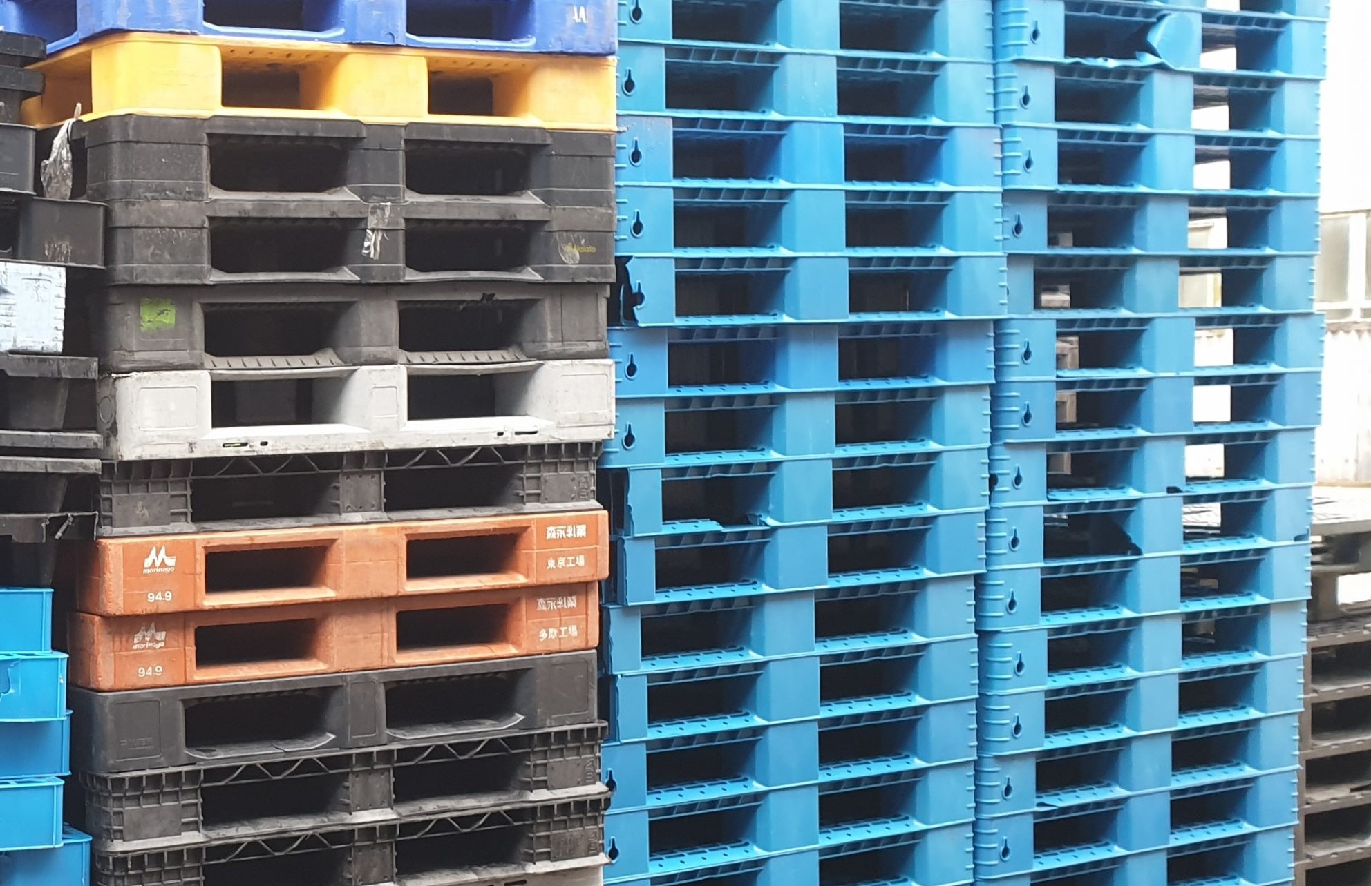 Stack of blue, white, red, black, and yellow plastic pallets outside in the sun