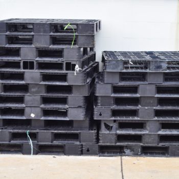 plastic pallets recycled